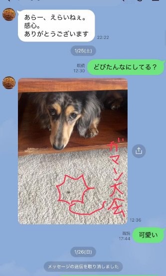 おやつを我慢するどびぃちゃん