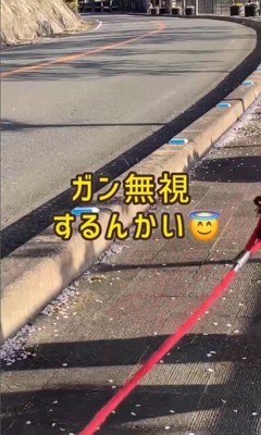 ちゃこさんを待ち伏せした時の反応8