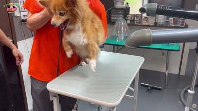 怒りだしてしまった！