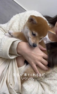 ももちちゃんのはじめての注射2