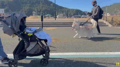 まさかのスルー！！