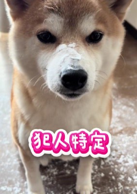 一瞬で犯人特定！！