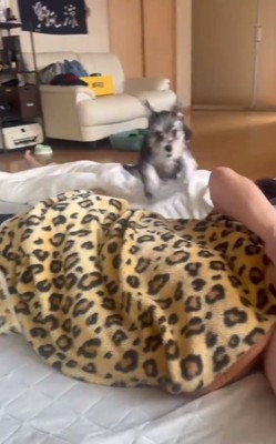 爆走が止まらない貂ちゃん