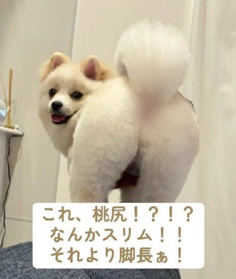 セクシーなヒップラインに