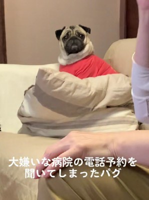 激しく凝視するべろくん