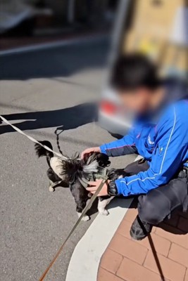 忙しいお兄さん