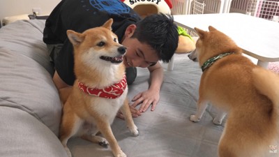 豆じろうくんは庇ってくれました♪
