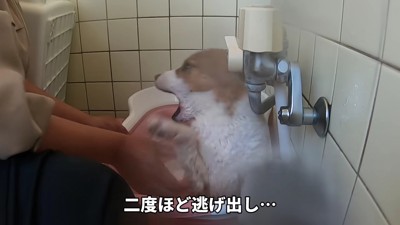 男の子はとっても怖がり…