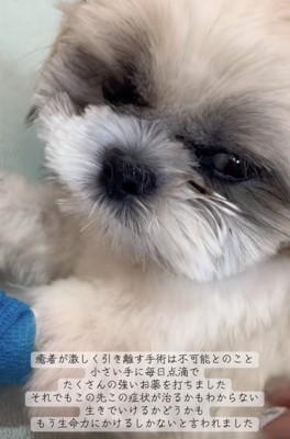 原因は分かったけれど…