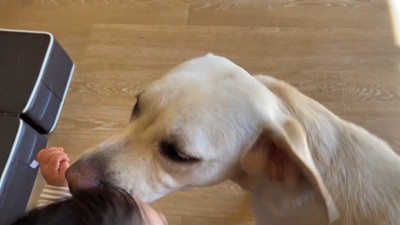 愛が止まりません♡