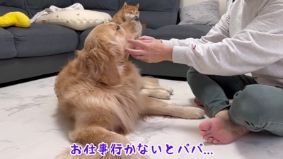 さみしがるおからちゃん