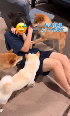 可愛いけれど負荷がすごい！