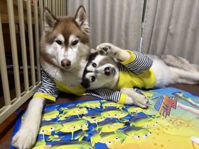 仲良し