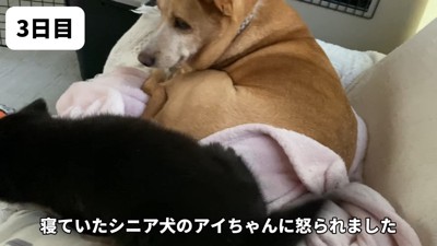 怒られることも!