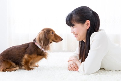 見つめ合う女性と犬