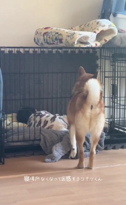 「なんでここに…?」