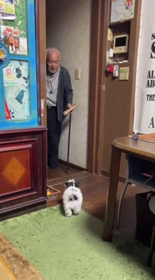 思わず静止するおじいちゃん