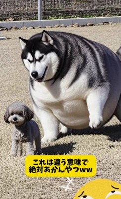 これは走れなさそう!!