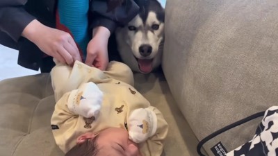 「僕もやらせて！」