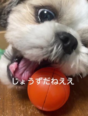 迫力満点の表情も!