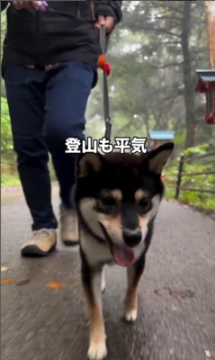 千幸ちゃんとご家族の1年間7