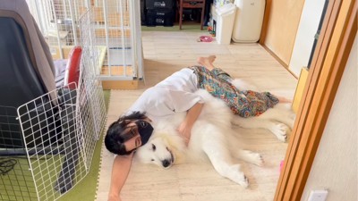 寝っ転がる犬と飼い主