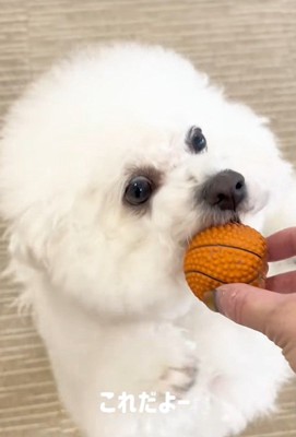 「返してくれたの？よかった～」