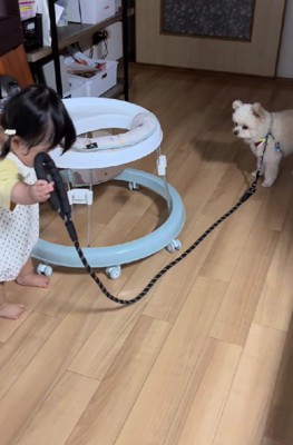 「お散歩に行こう!!」