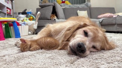 まるで親子のよう…♡
