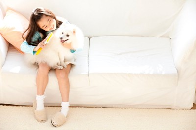 犬をブラッシングする女の子