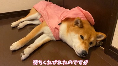 30分後、まだ待機しています！