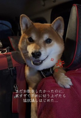 はなまる君の猛抗議4