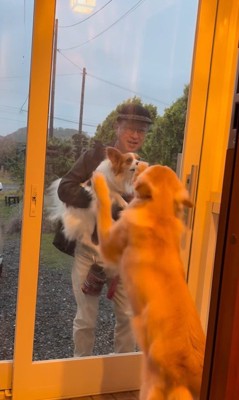 ざらめちゃんとパパの再会4