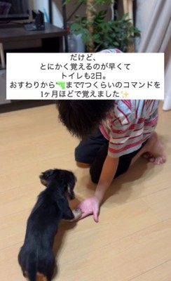 コマンドもすぐに覚えたよ！