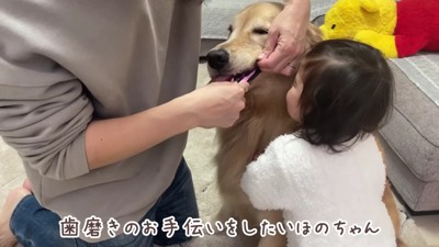 1歳の女の子が近づいて…