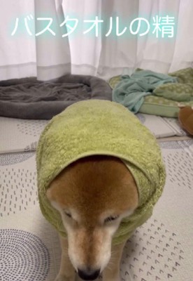 可愛すぎる姿にキュン♡