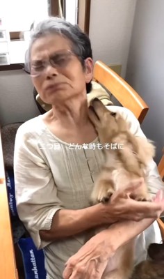 祖母に抱っこされる小型犬