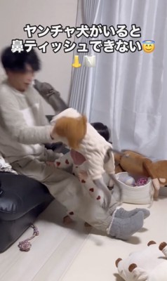 パパの鼻へ一直線