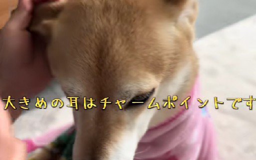 チャームポイントは活かしましょう♪