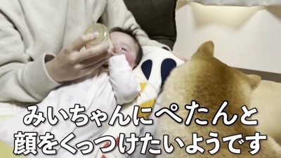 ずっとつきっきり…