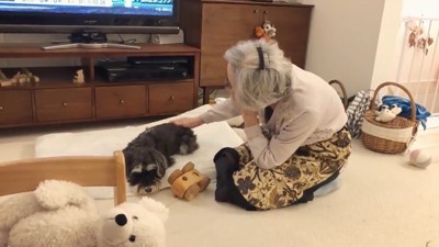 お年寄りと黒い犬