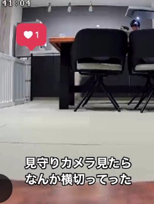 どういう状況？