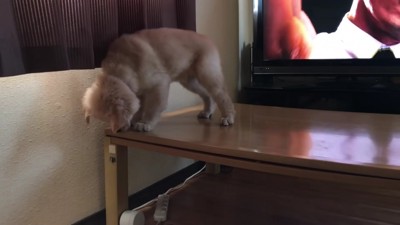 降りようとしたら…