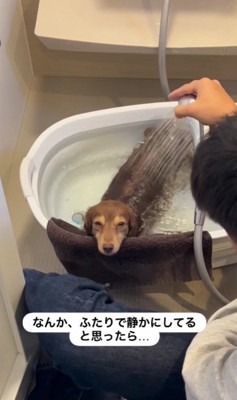 思わずほっこり…♡