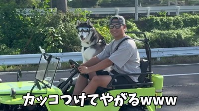 おこめちゃんはドライブスルーへ