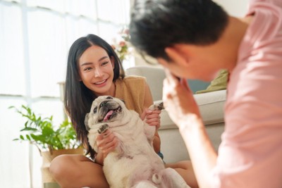 愛犬の写真を撮るカップル