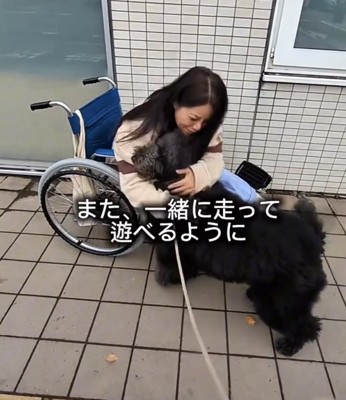 車椅子の前の犬