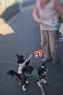 人の気配を感じたライタくん