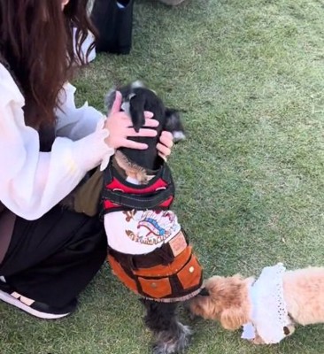 他の飼い主さんに撫でられる陽菜ちゃん