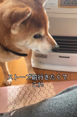 ストーブ前が取られていると…